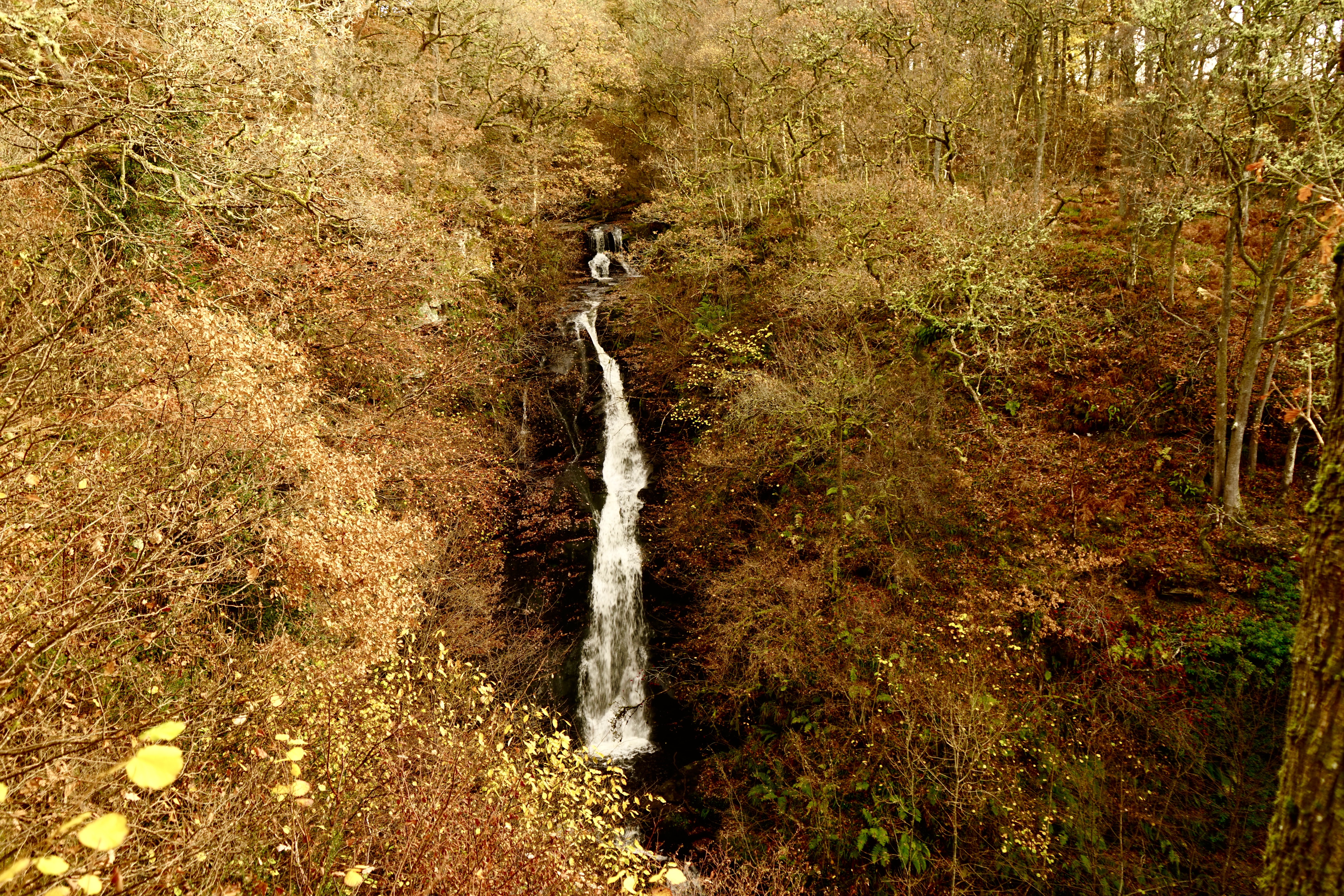 Pitlochry’s Hidden Gem: Black Spout Waterfall